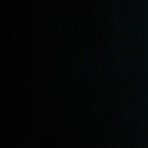 Meet your Posher, Benji